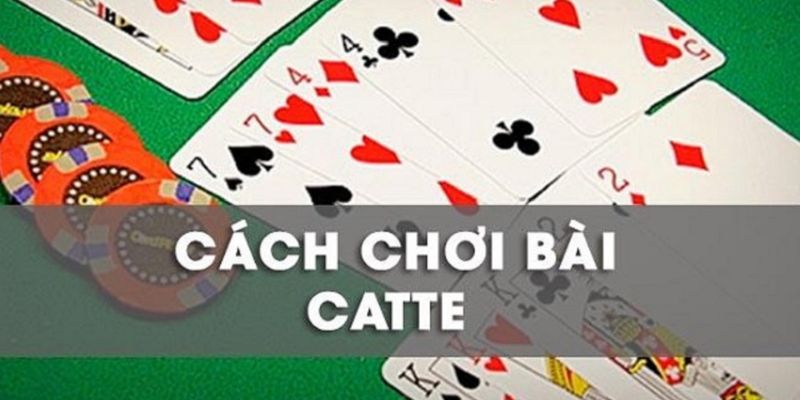 Catte nohu - Luật chơi và các kinh nghiệm chơi toàn thắng