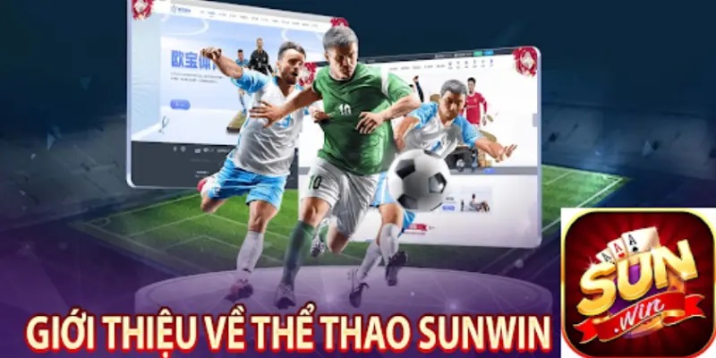 Sơ lược về cược tỷ số Sunwin